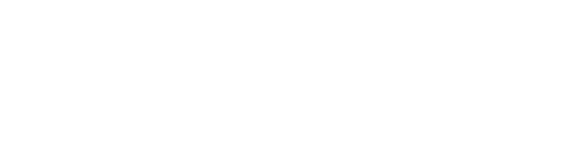 Nintendo logo white version